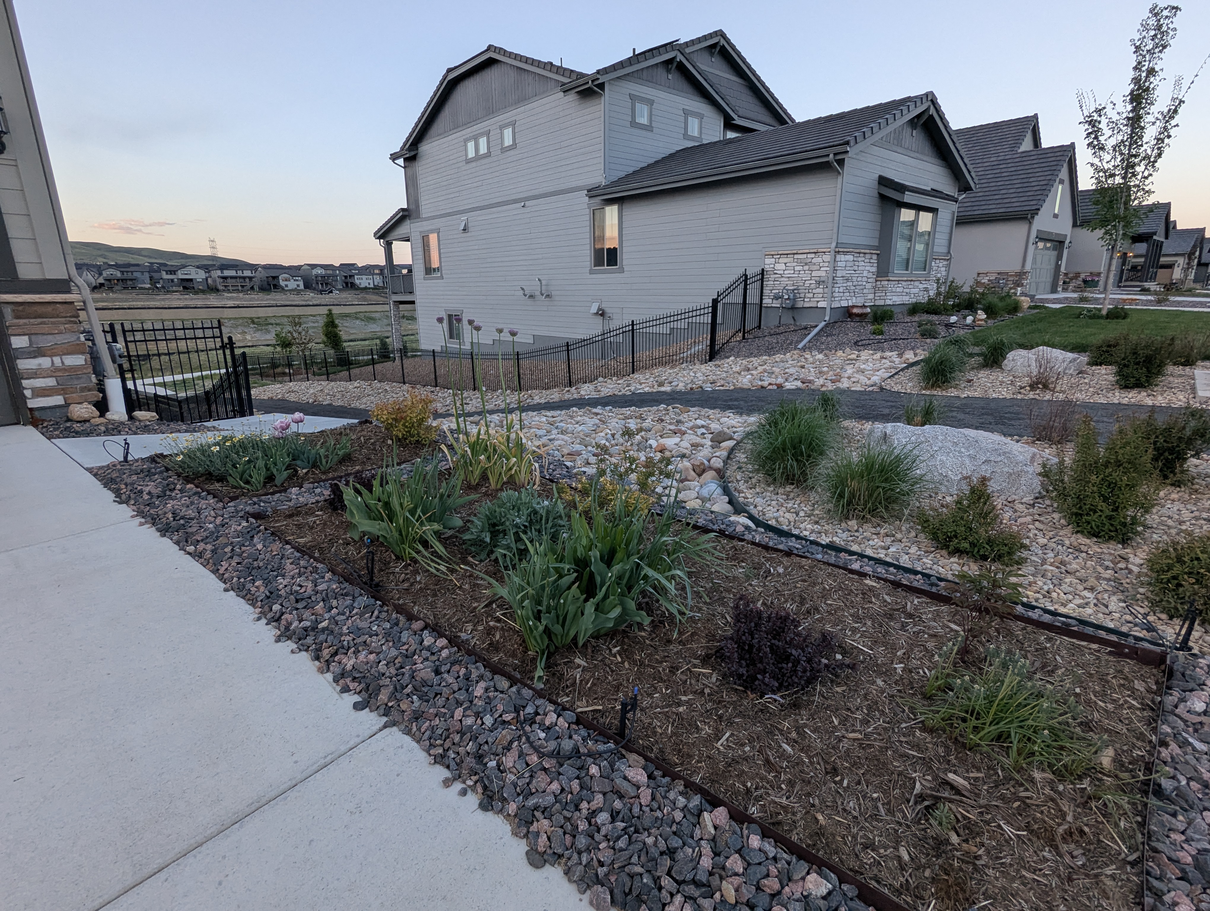 Garden, Flowers, Morrison, Colorado